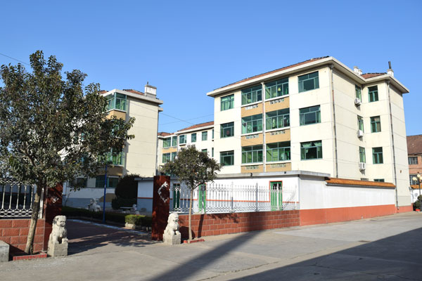 山東登海種業股份有限公司